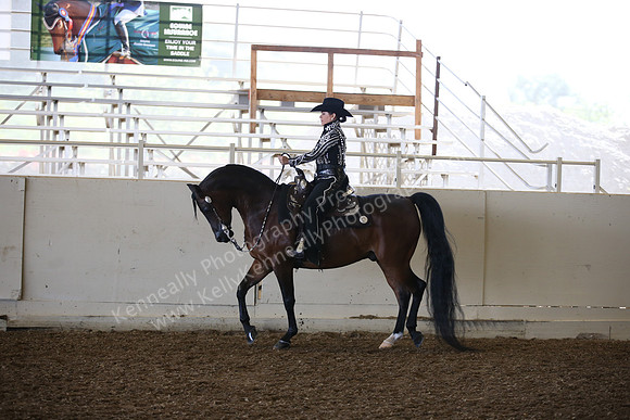 AHANC_Show18_SatAM_2595