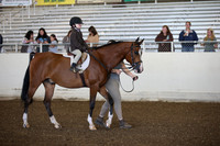 AHANC_Show18_SatAM_2684