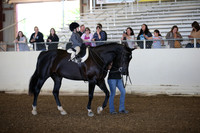 AHANC_Show18_SatAM_2687