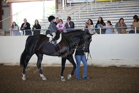 AHANC_Show18_SatAM_2687