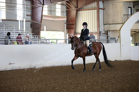 AHANC_Show18_SatPM_2751