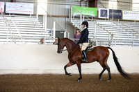 AHANC_Show18_SatPM_2754
