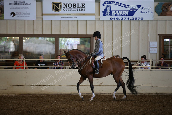 AHANC_Show18_SatPM_2755