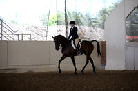 Class 111 A/HA/AA Hunter Seat Equitation Not to Jump 14-18
