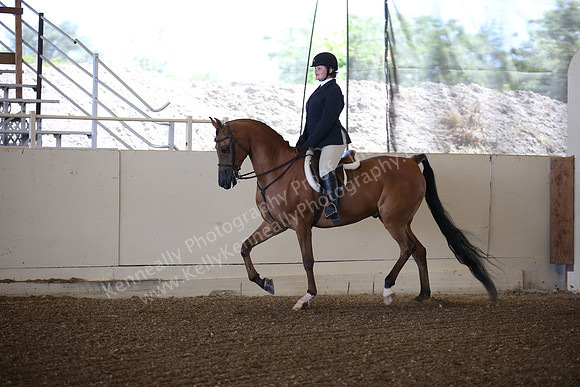 AHANC_Show18_SatPM_2781