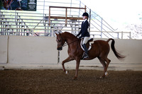 AHANC_Show18_SatPM_2785