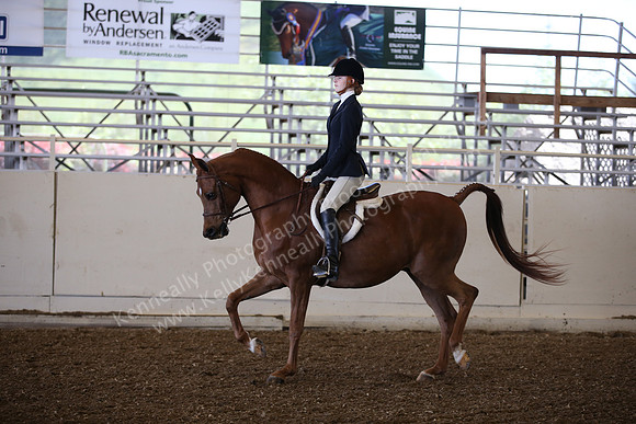 AHANC_Show18_SatPM_2786