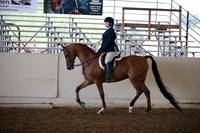 AHANC_Show18_SatPM_2783