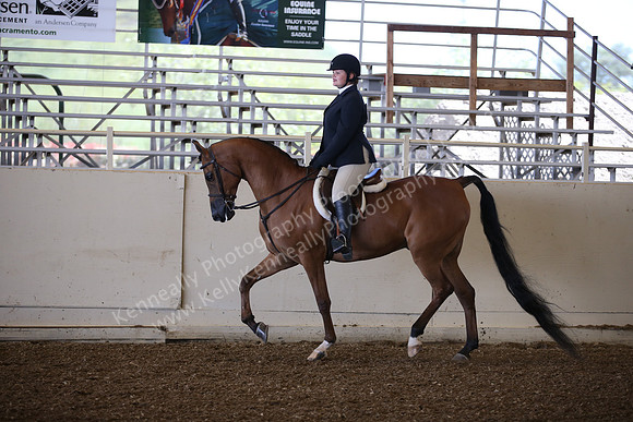 AHANC_Show18_SatPM_2783