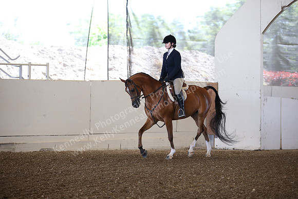 AHANC_Show18_SatPM_2787