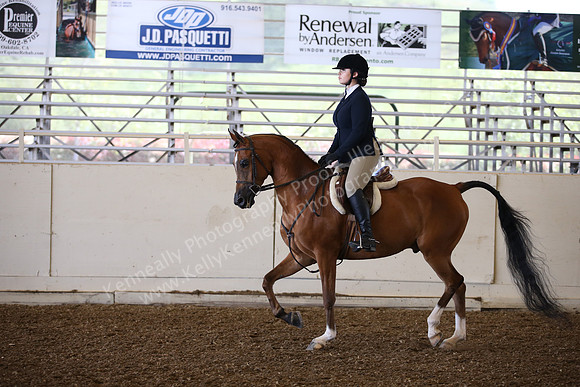 AHANC_Show18_SatPM_2789