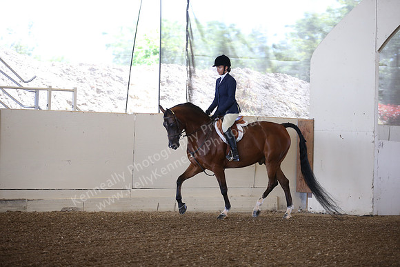 AHANC_Show18_SatPM_2790