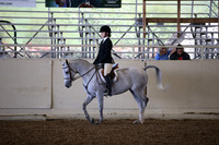 AHANC_Show18_SatPM_2865