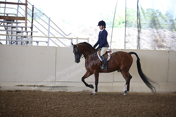 AHANC_Show18_SatPM_2791