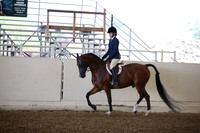 AHANC_Show18_SatPM_2792
