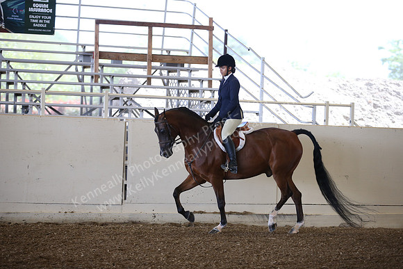 AHANC_Show18_SatPM_2792