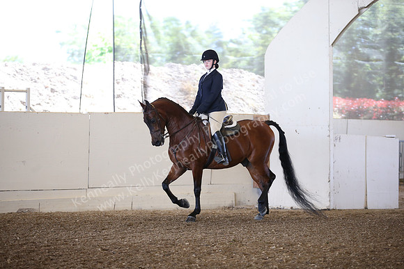 AHANC_Show18_SatPM_2871