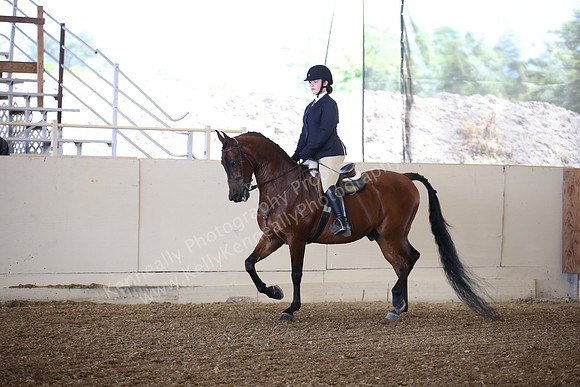AHANC_Show18_SatPM_2872