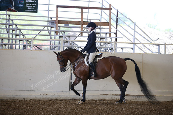 AHANC_Show18_SatPM_2796