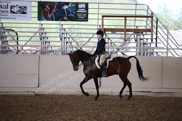 AHANC_Show18_SatPM_2900