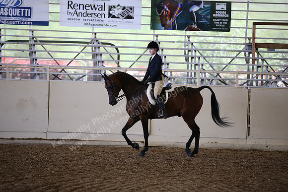 AHANC_Show18_SatPM_2901