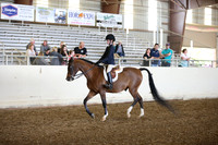 AHANC_Show18_SatPM_2874
