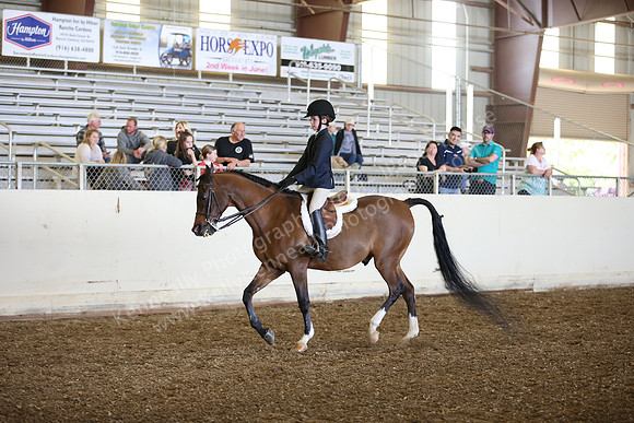 AHANC_Show18_SatPM_2874