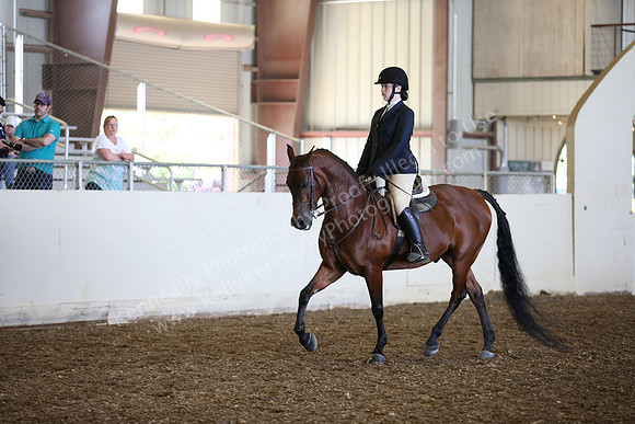 AHANC_Show18_SatPM_2876