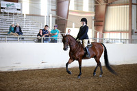 AHANC_Show18_SatPM_2877