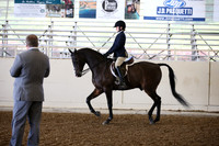 AHANC_Show18_SatPM_2802