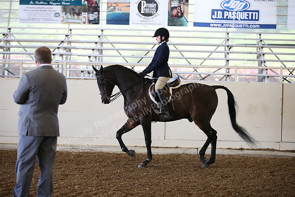 AHANC_Show18_SatPM_2802