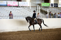 AHANC_Show18_SatPM_2909