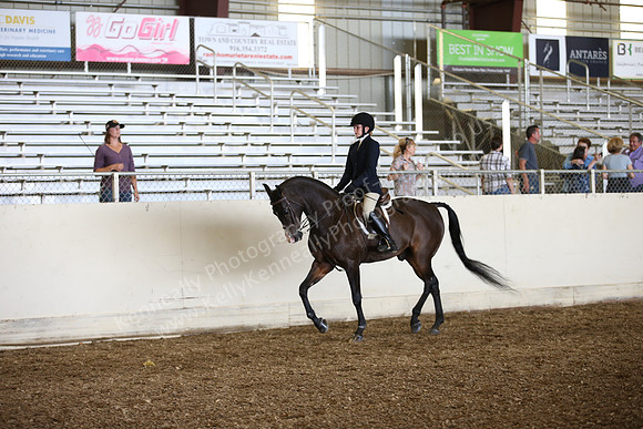 AHANC_Show18_SatPM_2909
