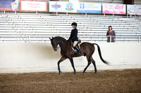 AHANC_Show18_SatPM_2911