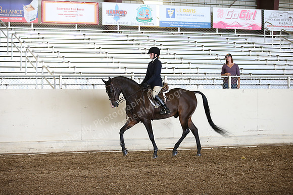 AHANC_Show18_SatPM_2911