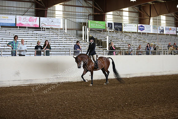AHANC_Show18_SatPM_2811