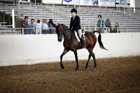 AHANC_Show18_SatPM_2914