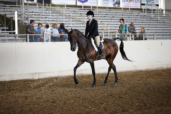 AHANC_Show18_SatPM_2914