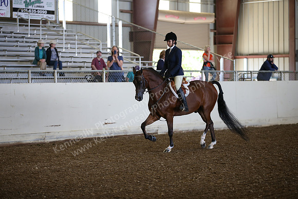AHANC_Show18_SatPM_2820