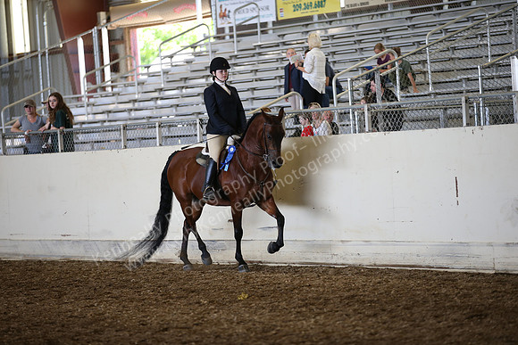 AHANC_Show18_SatPM_2889