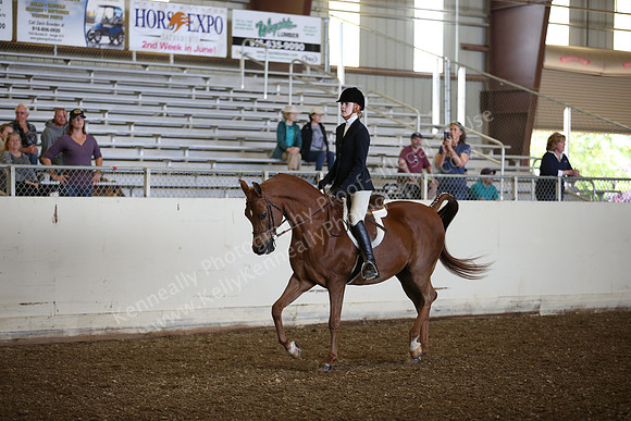 AHANC_Show18_SatPM_2824