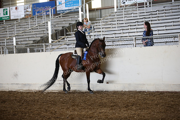AHANC_Show18_SatPM_2892