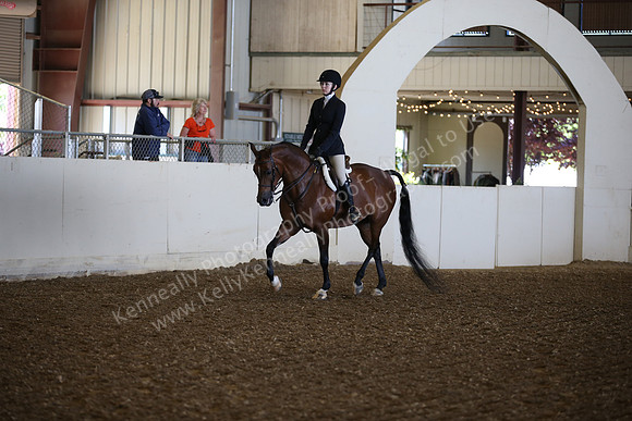 AHANC_Show18_SatPM_2829
