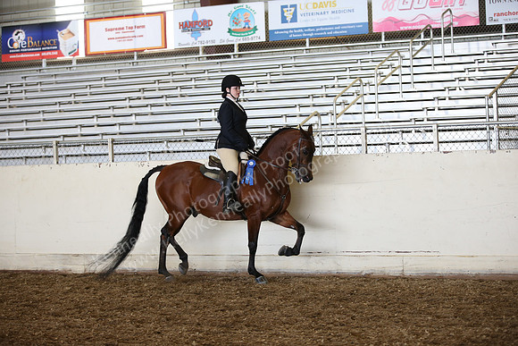 AHANC_Show18_SatPM_2894