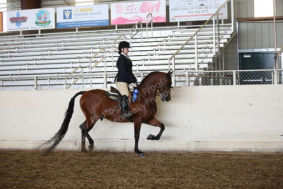 AHANC_Show18_SatPM_2895
