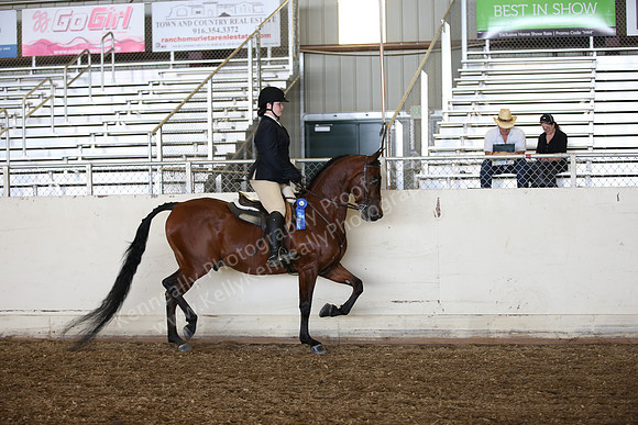 AHANC_Show18_SatPM_2896