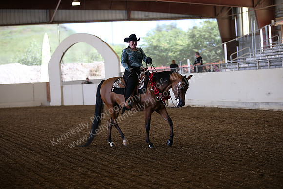 AHANC_Show18_SatPM_2941