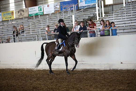 AHANC_Show18_SatPM_2857