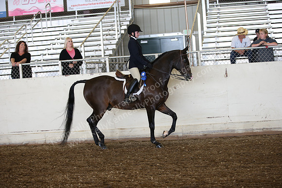 AHANC_Show18_SatPM_2861