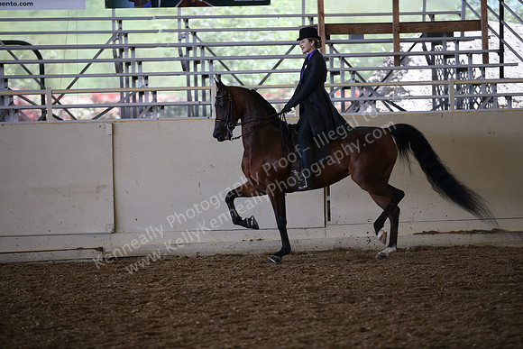 AHANC_Show18_SatPM_2951